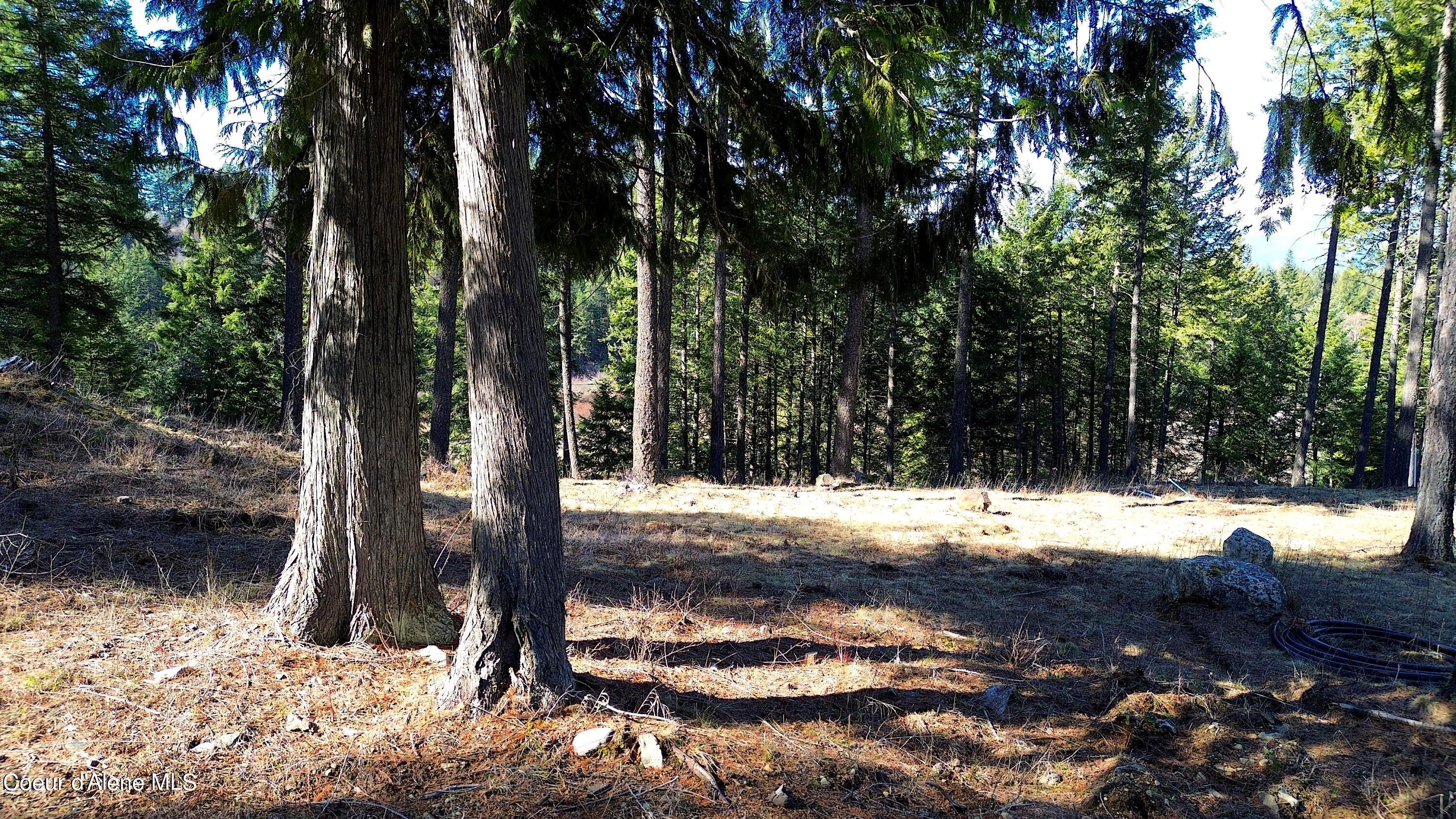 Wildflower Way Sandpoint, ID 83864 - Photo 23 of 45 10 copy