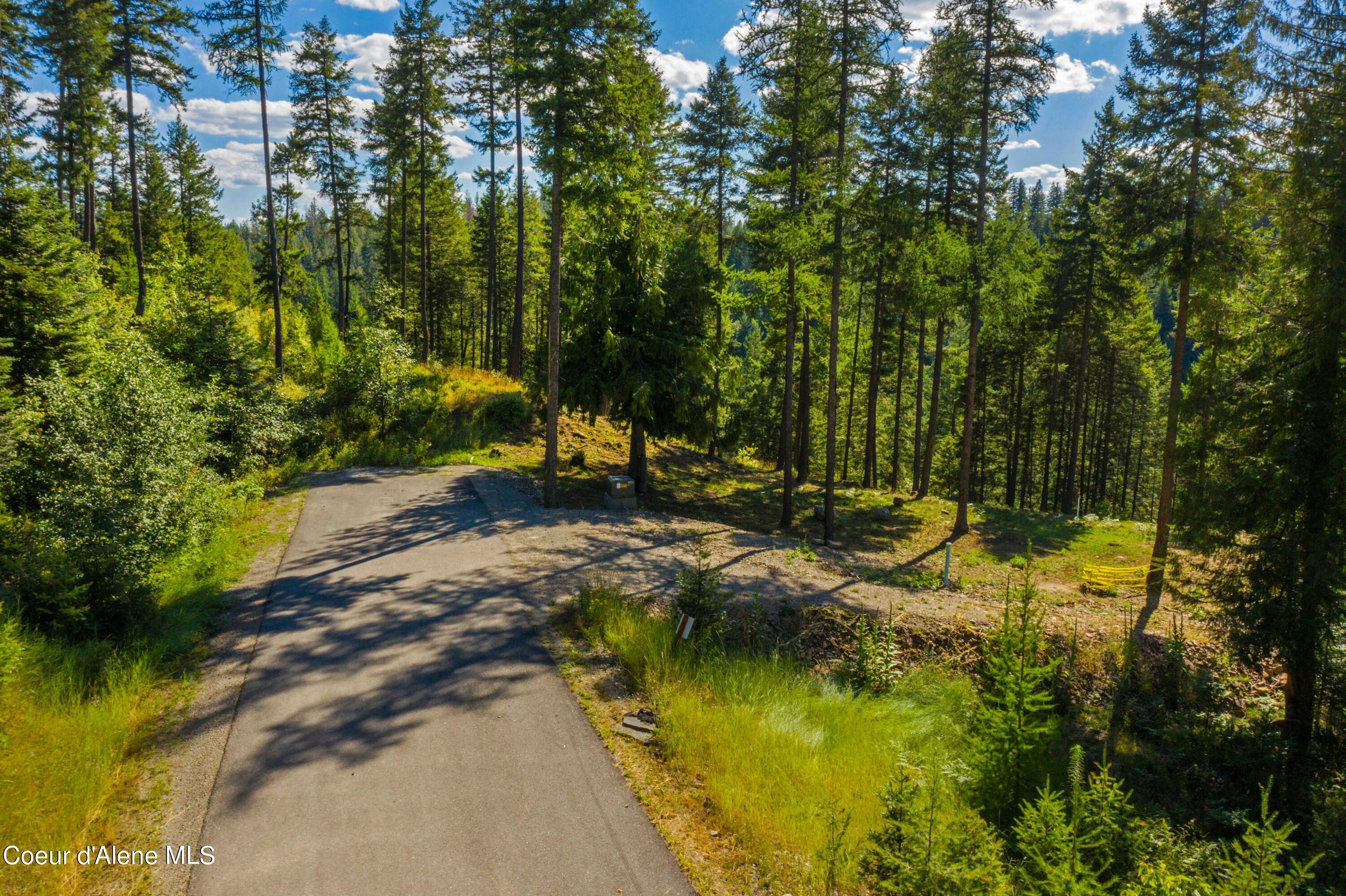 Wildflower Way Sandpoint, ID 83864 - Photo 5 of 45 WWLOT_08