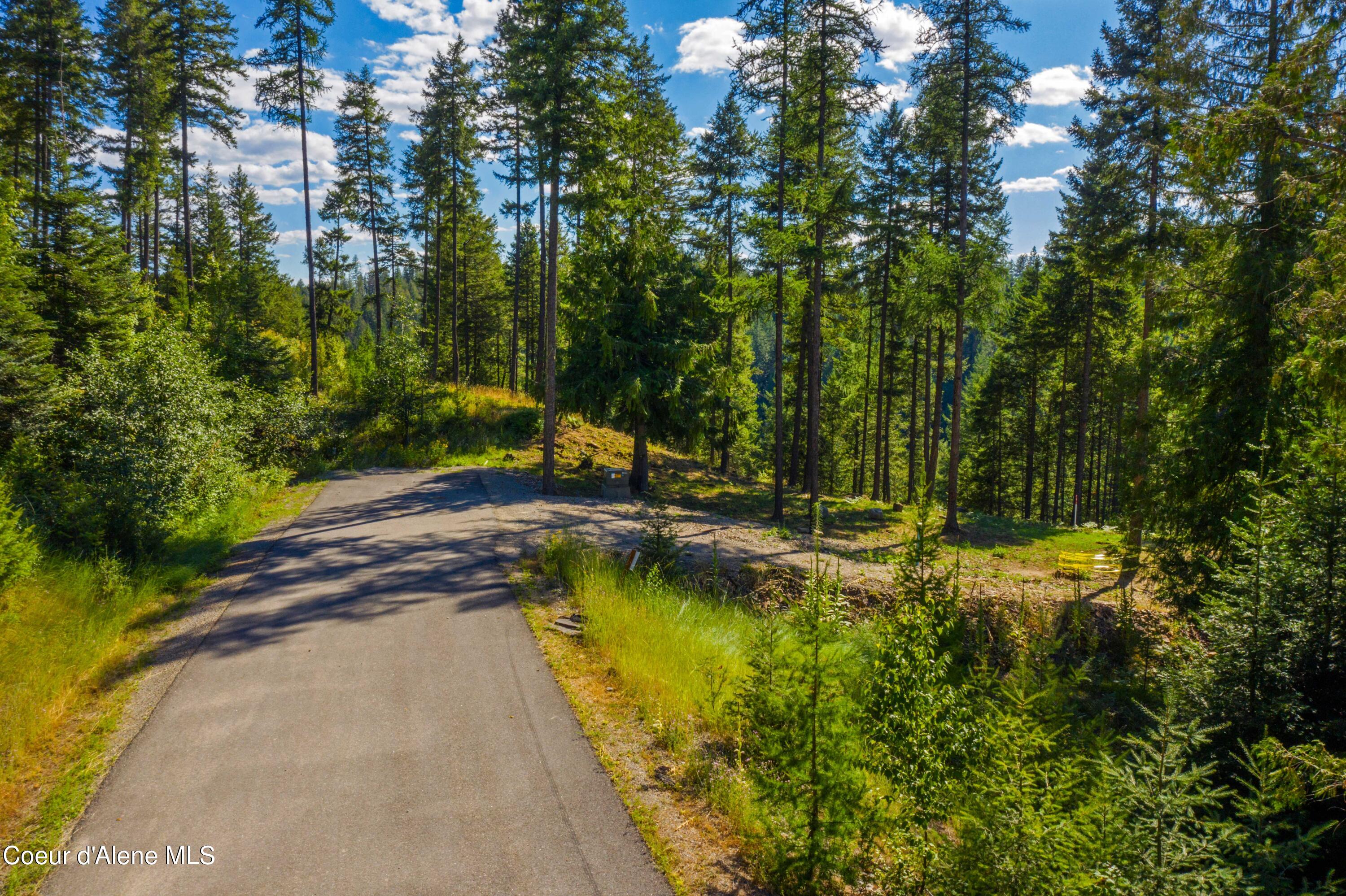 Wildflower Way Sandpoint, ID 83864 - Photo 6 of 45 WWLOT_09