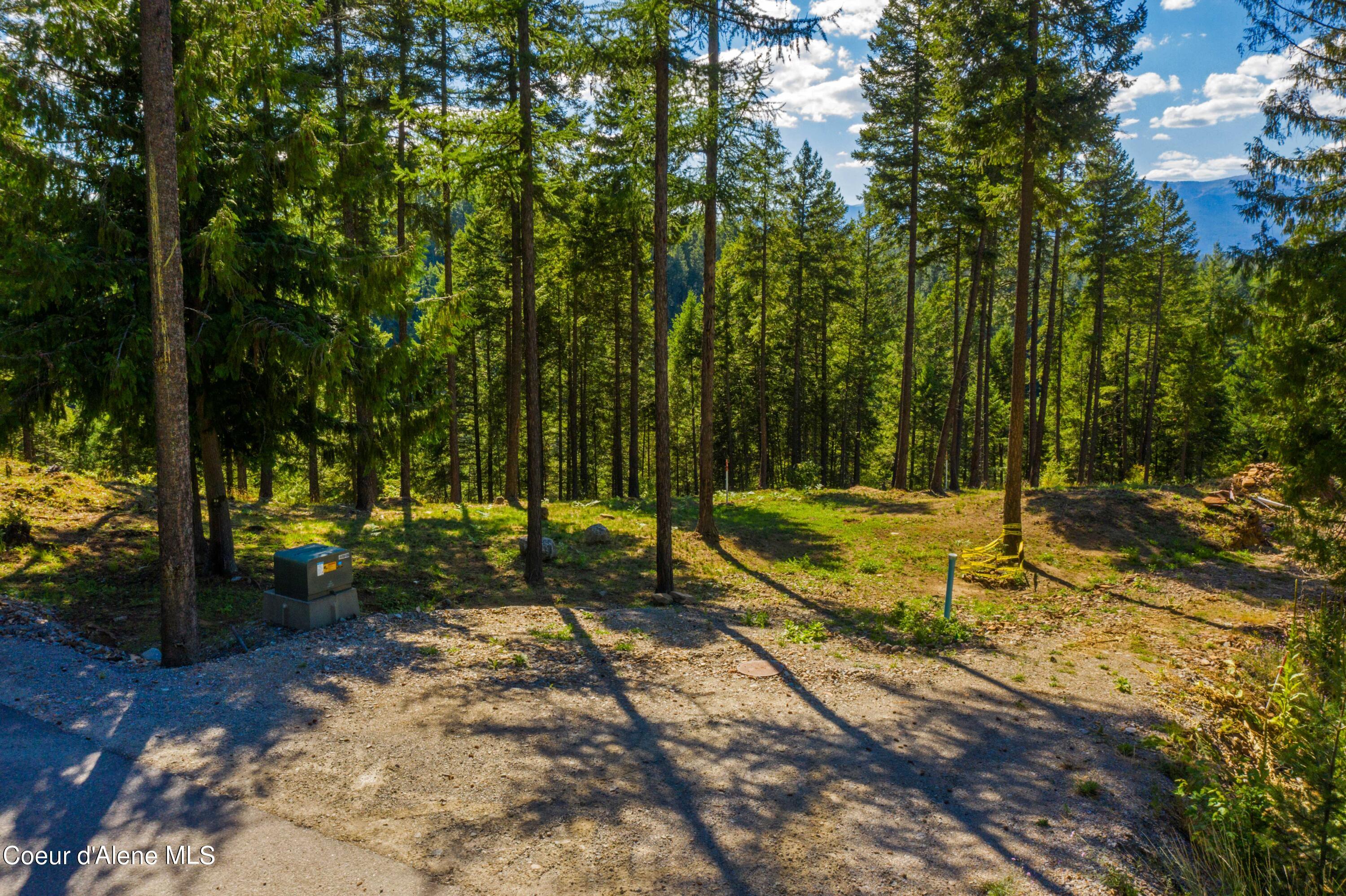 Wildflower Way Sandpoint, ID 83864 - Photo 7 of 45 WWLOT_10