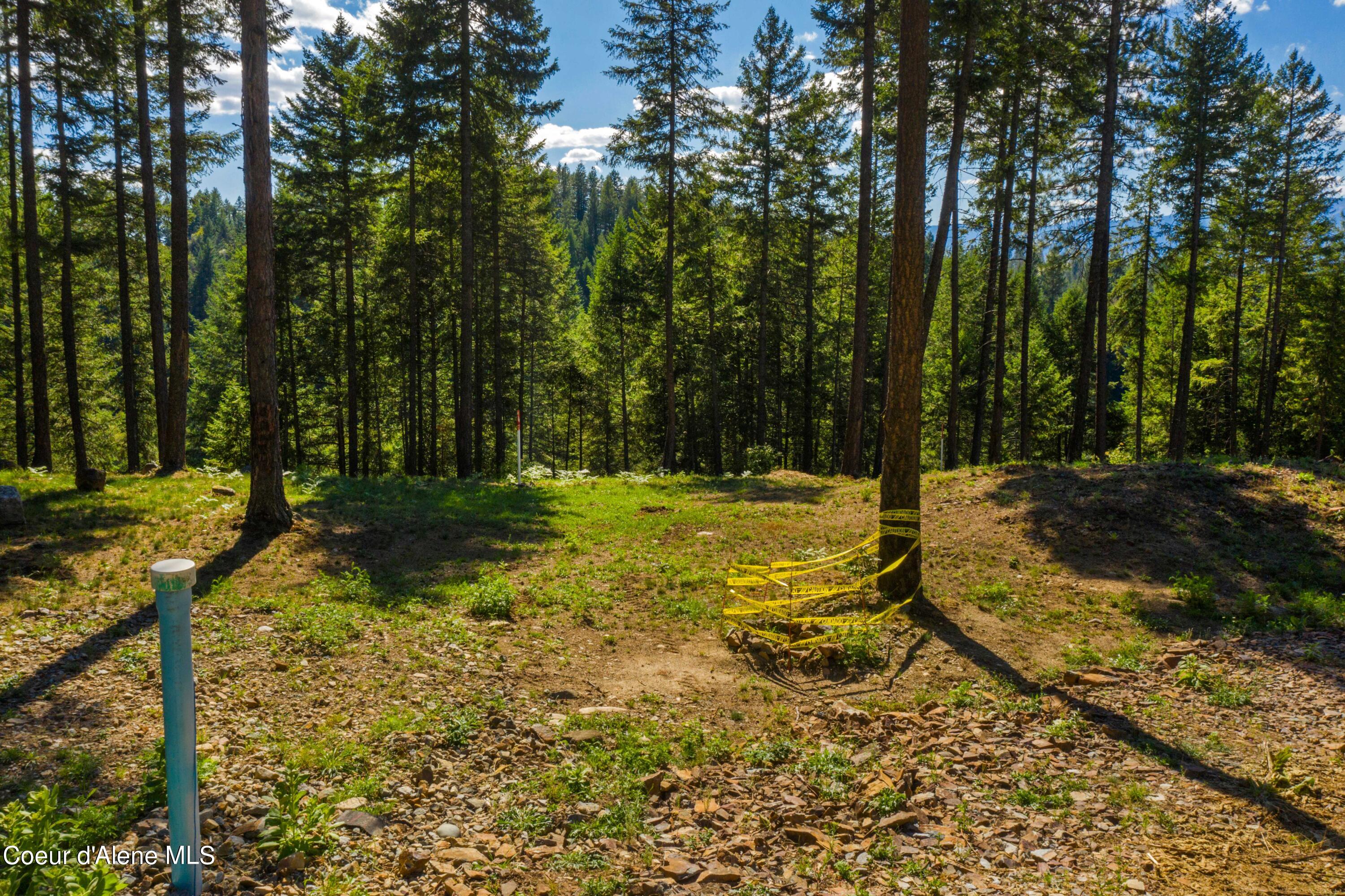 Wildflower Way Sandpoint, ID 83864 - Photo 8 of 45 WWLOT_11