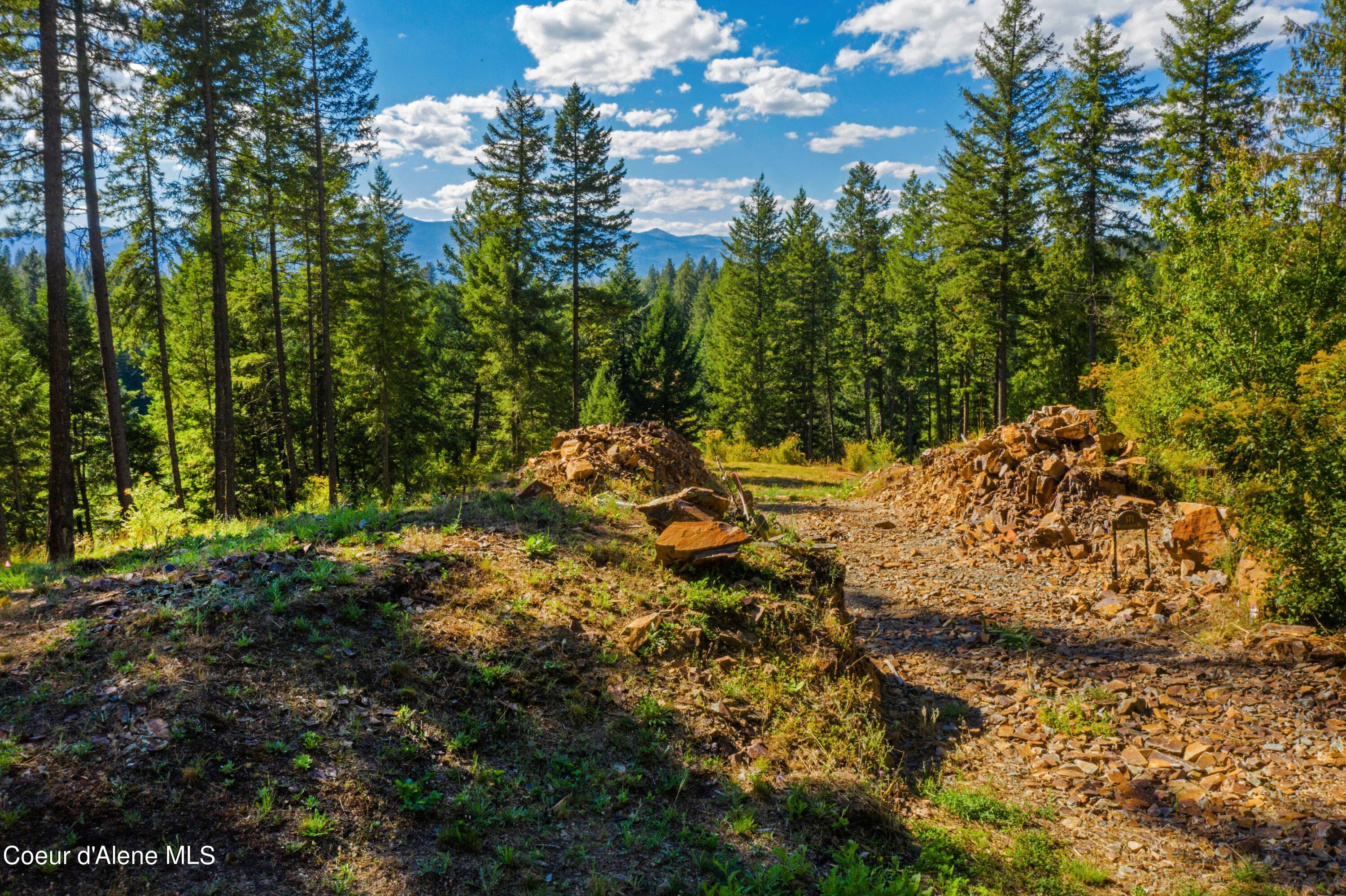 Wildflower Way Sandpoint, ID 83864 - Photo 9 of 45 WWLOT_12