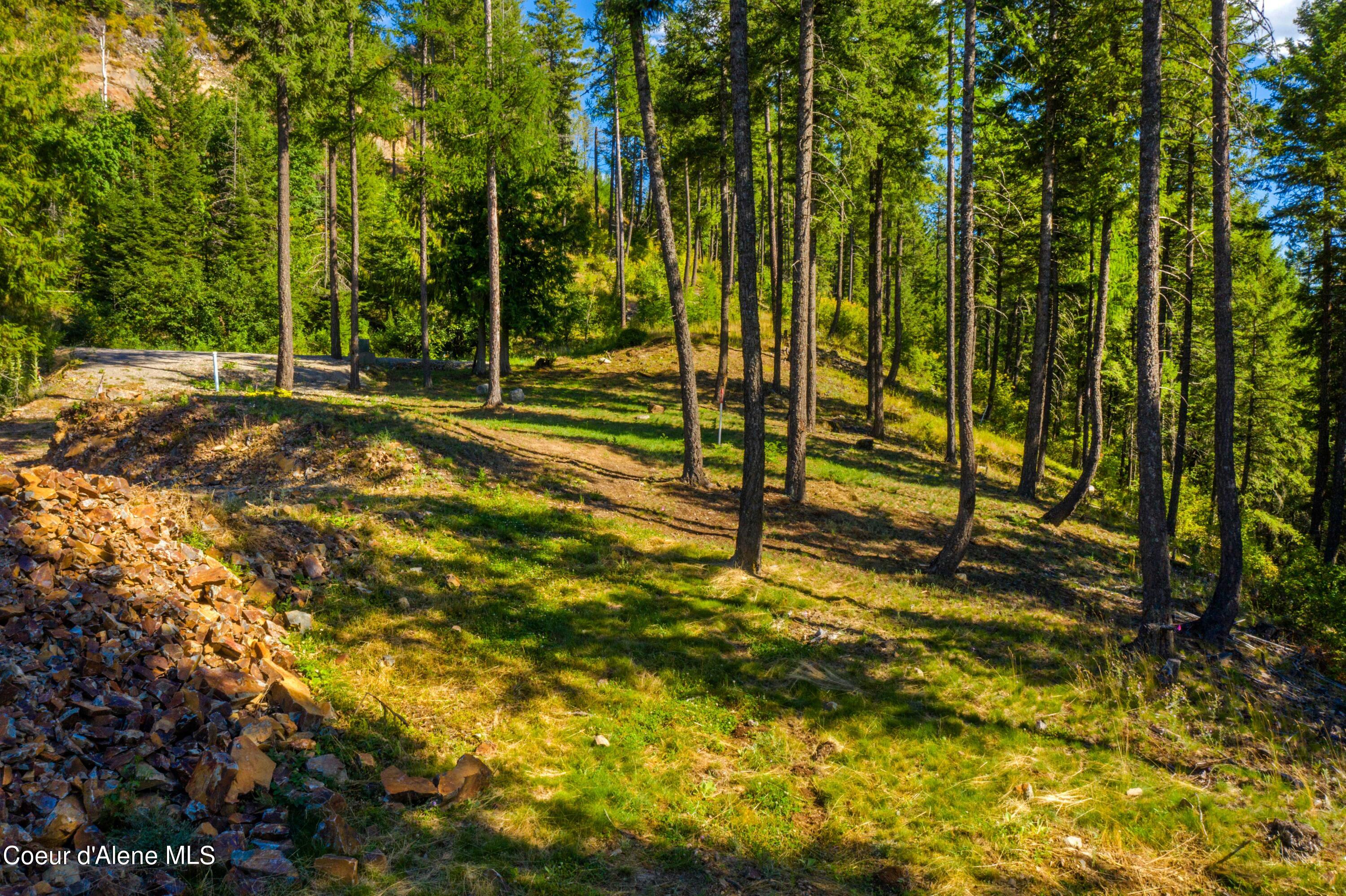 Wildflower Way Sandpoint, ID 83864 - Photo 10 of 45 WWLOT_13