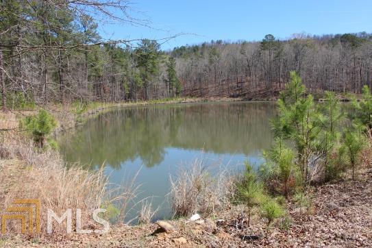 1675 Pleasant Valley Road Molena, GA 30258 - Photo 1 of 1 Gallery Image 1