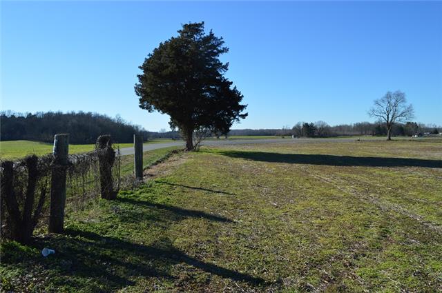 0 Penile Hill Road Decherd, TN 37324 - Photo 14 of 19 a view of a yard with a slide