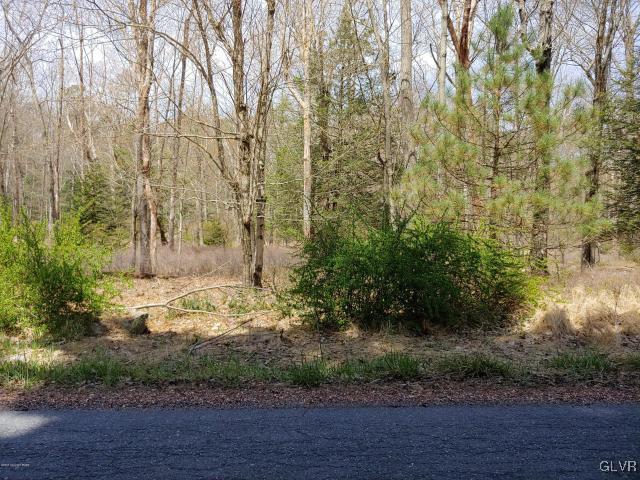 598 Lake Road Canadensis, PA 18325 - Photo 2 of 6 Gallery Image 2