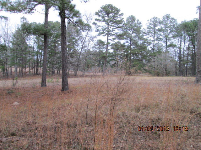 . County Line Road Haddock, GA 31033 - Photo 1 of 1 Primary Photo