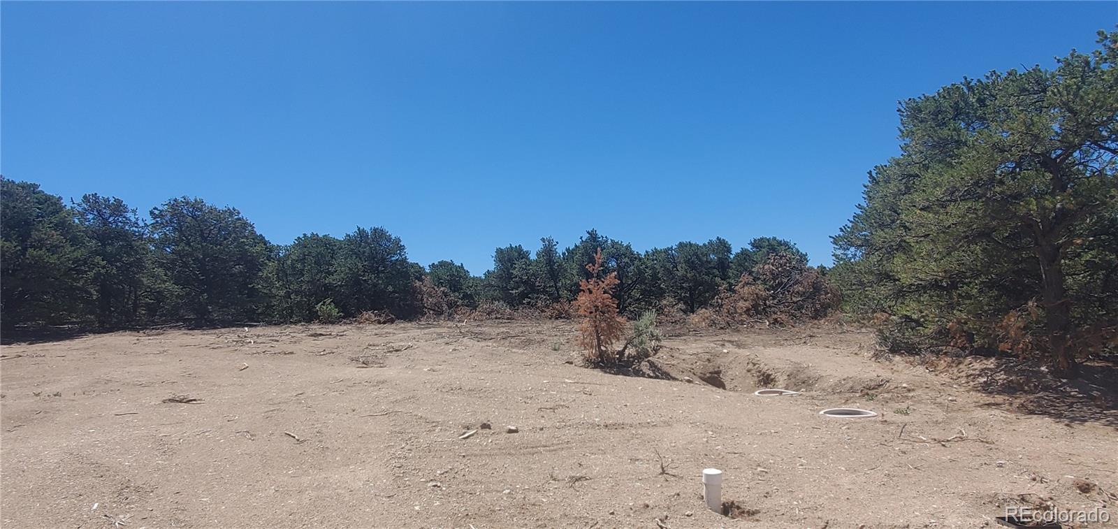 Lot 1321 Michaels Road San Luis, CO 81152 - Photo 6 of 17