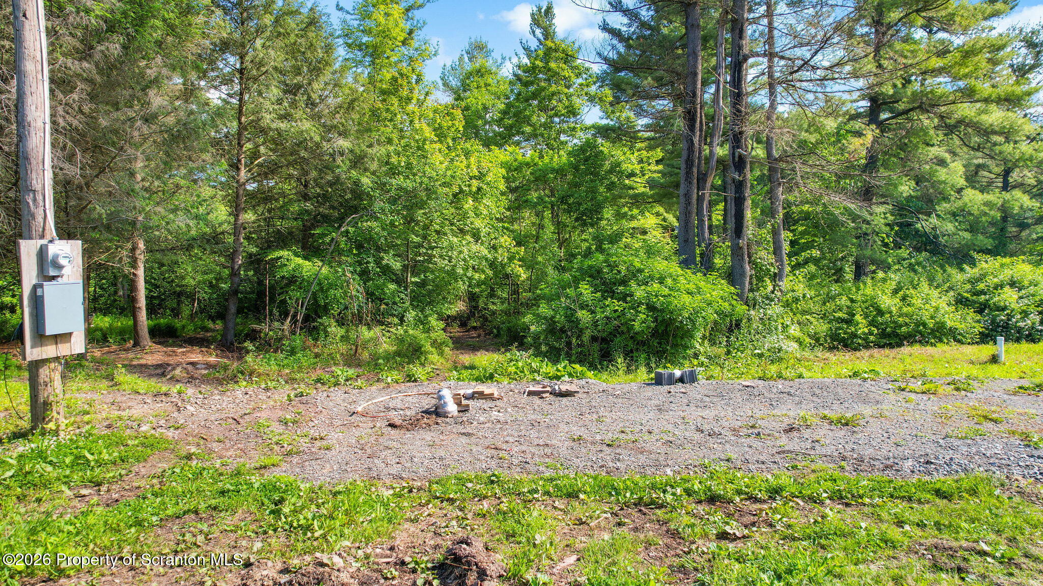 9015 Laurel Lake Road Montrose, PA 18801 - Photo 8 of 25 a view of a yard with of trees