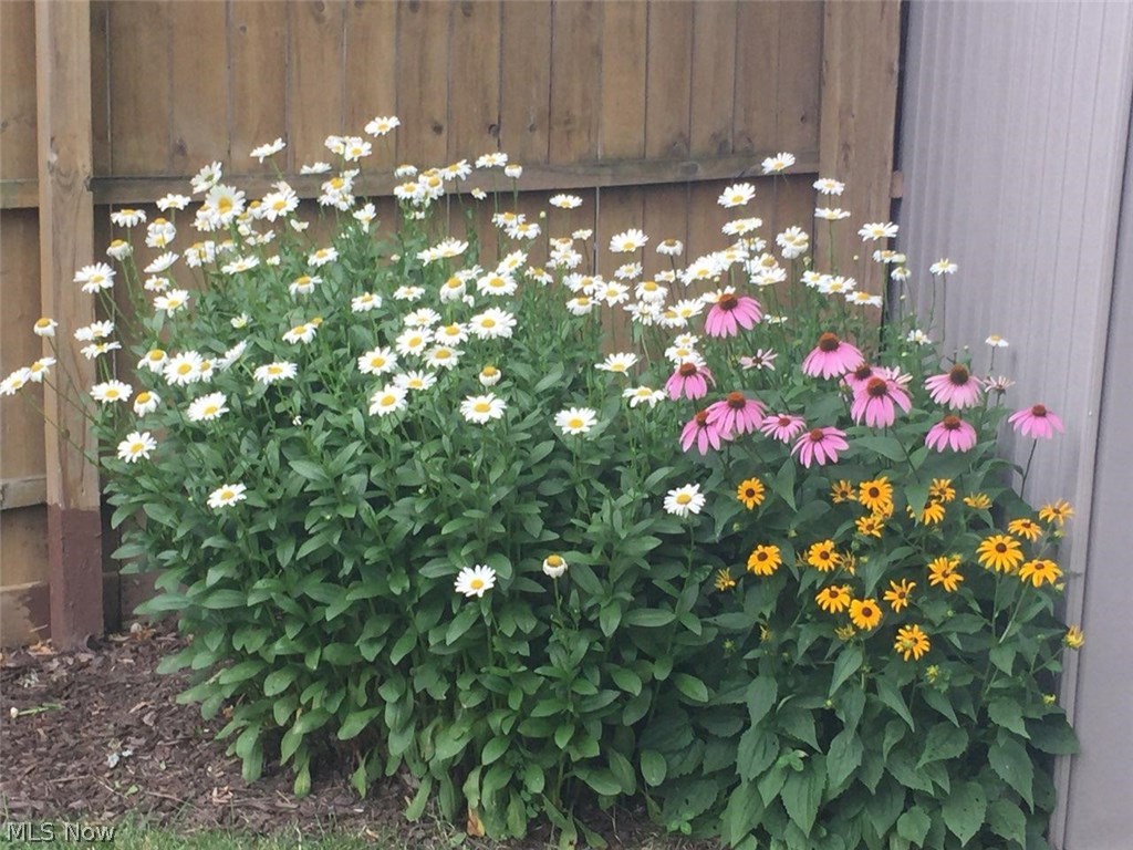 119 Lear Road Avon Lake, OH 44012 - Photo 20 of 25 Gallery Image 20