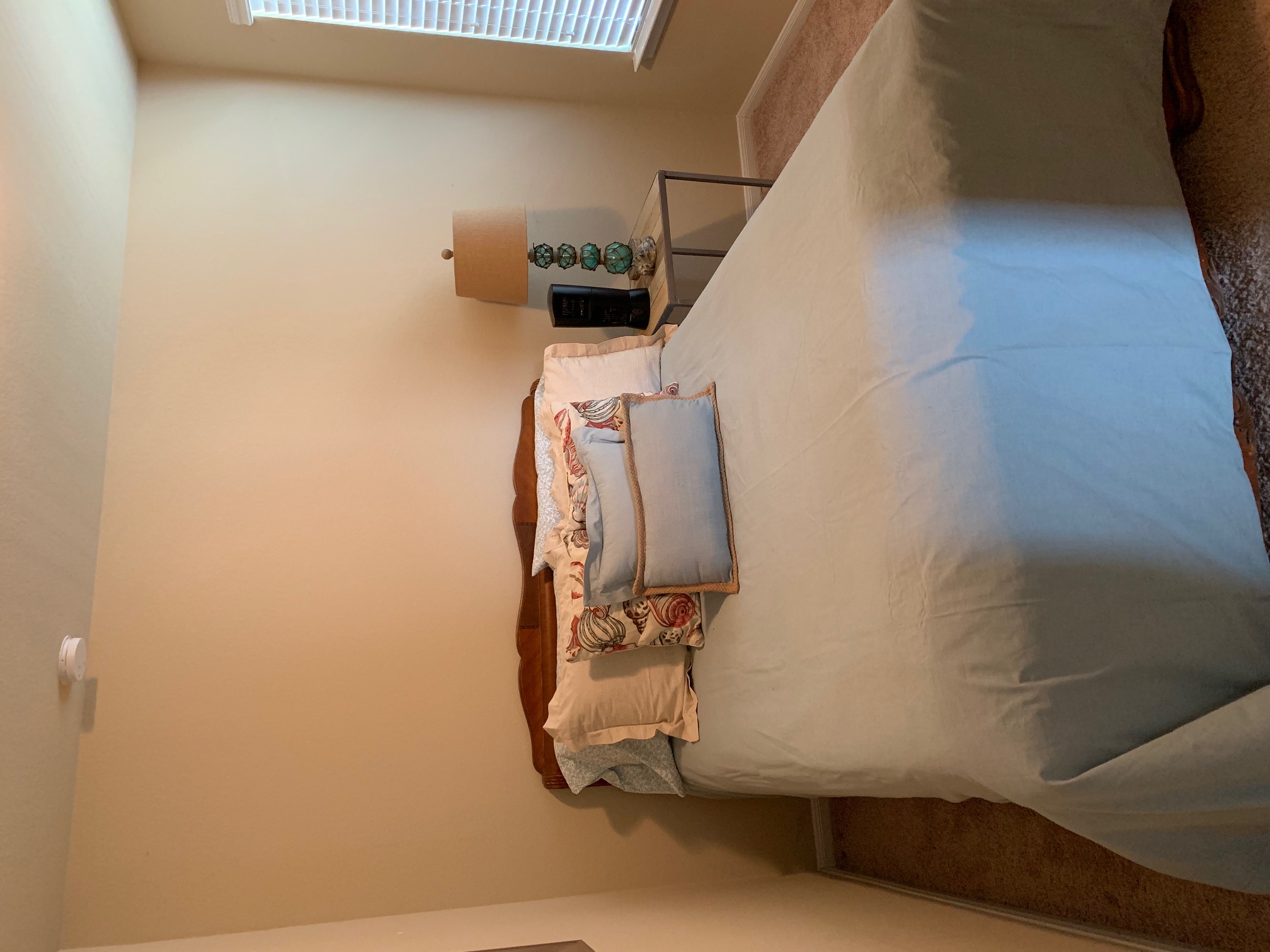 2020 Mottey Street Georgetown, TX 78626 - Photo 13 of 24 Bedroom with carpet and baseboards