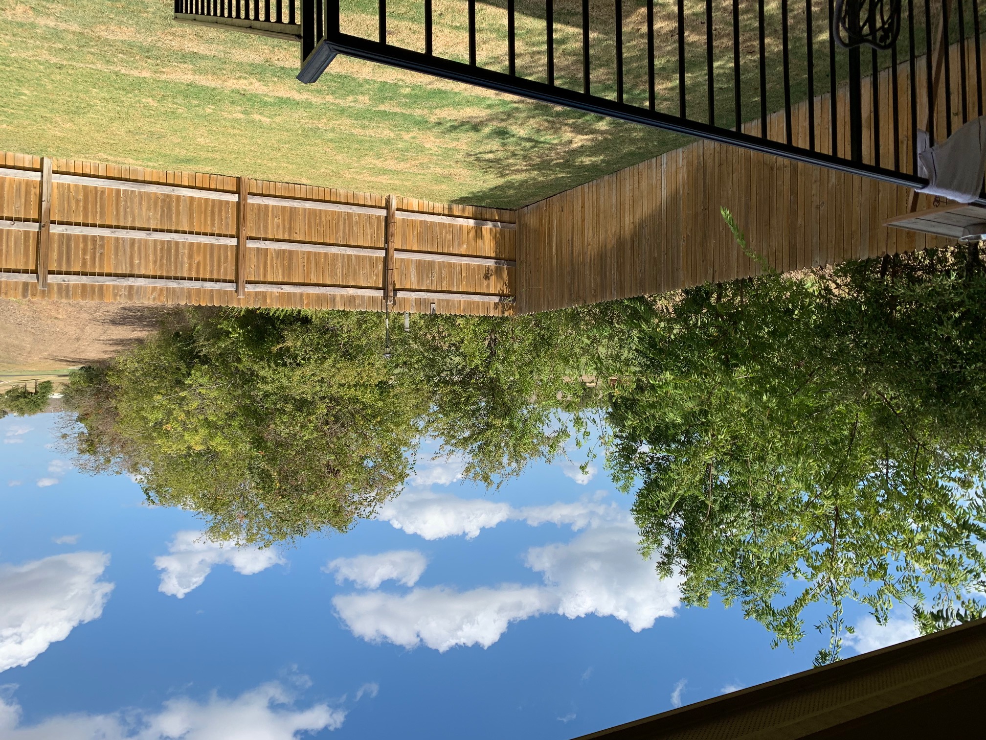 2020 Mottey Street Georgetown, TX 78626 - Photo 21 of 24 View of fenced backyard