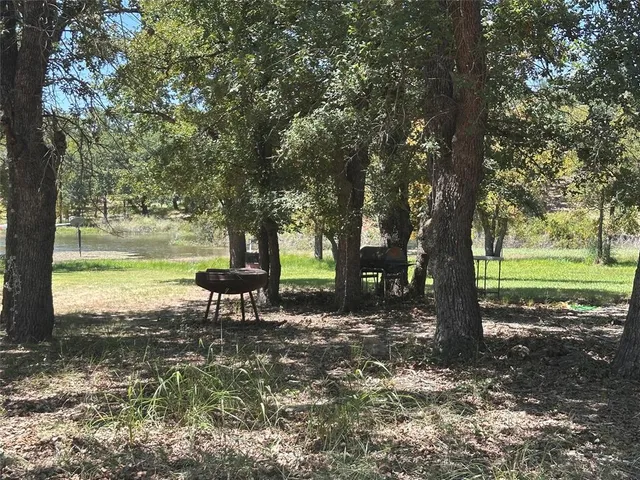 a view of a park with large trees
