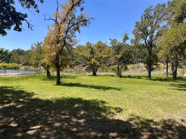 a view of yard with trees
