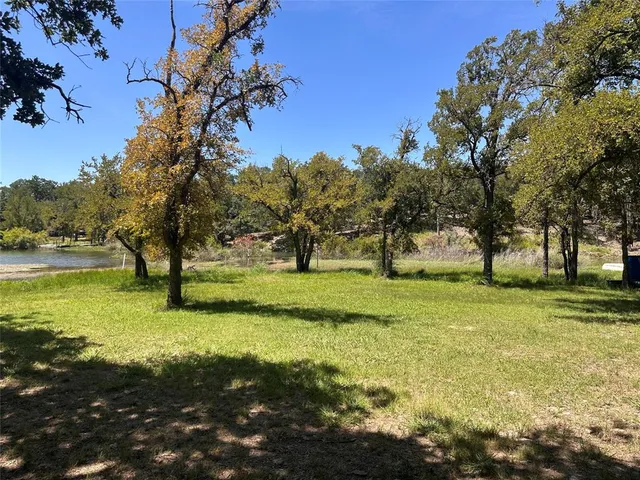 a view of a trees with a yard