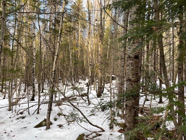 M7-l4 Ward Ridge Road Wellington, ME 04942 - Photo 7 of 14 IMG_8637
