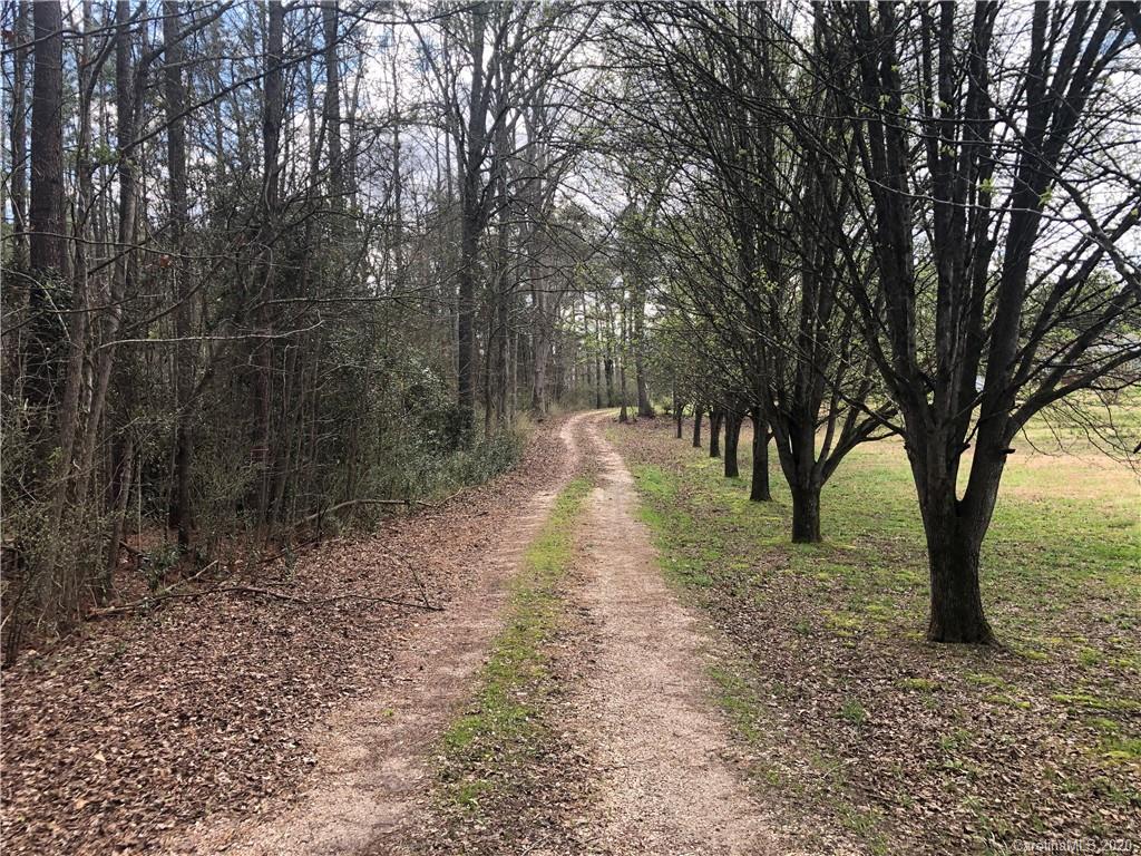 4701 Old Hickory Road Lancaster, SC 29720 - Photo 22 of 24 a backyard of a house with lots of green space