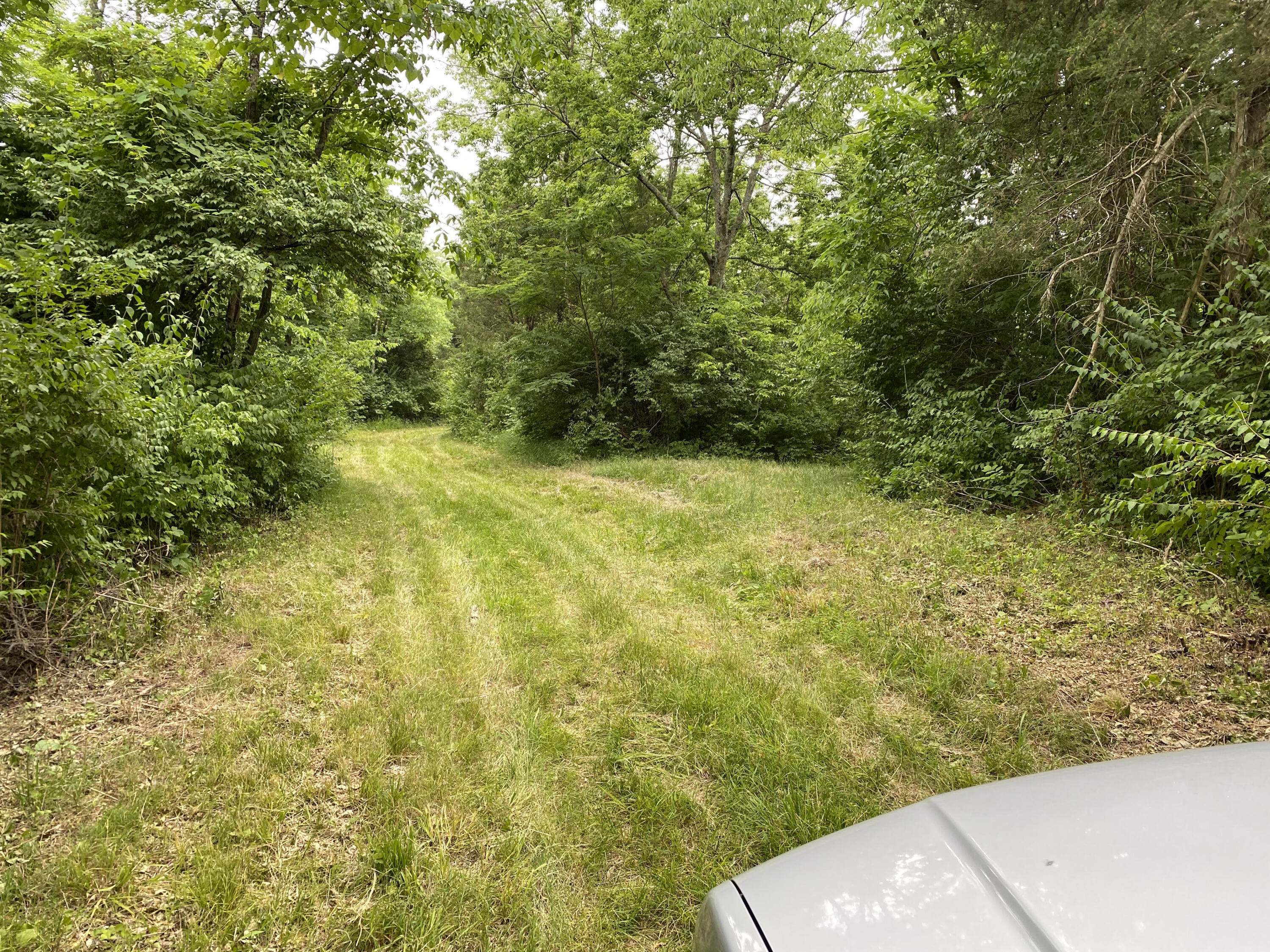 1100 Fairview Road Williamstown, KY 41097 - Photo 5 of 74 unnamed (4)