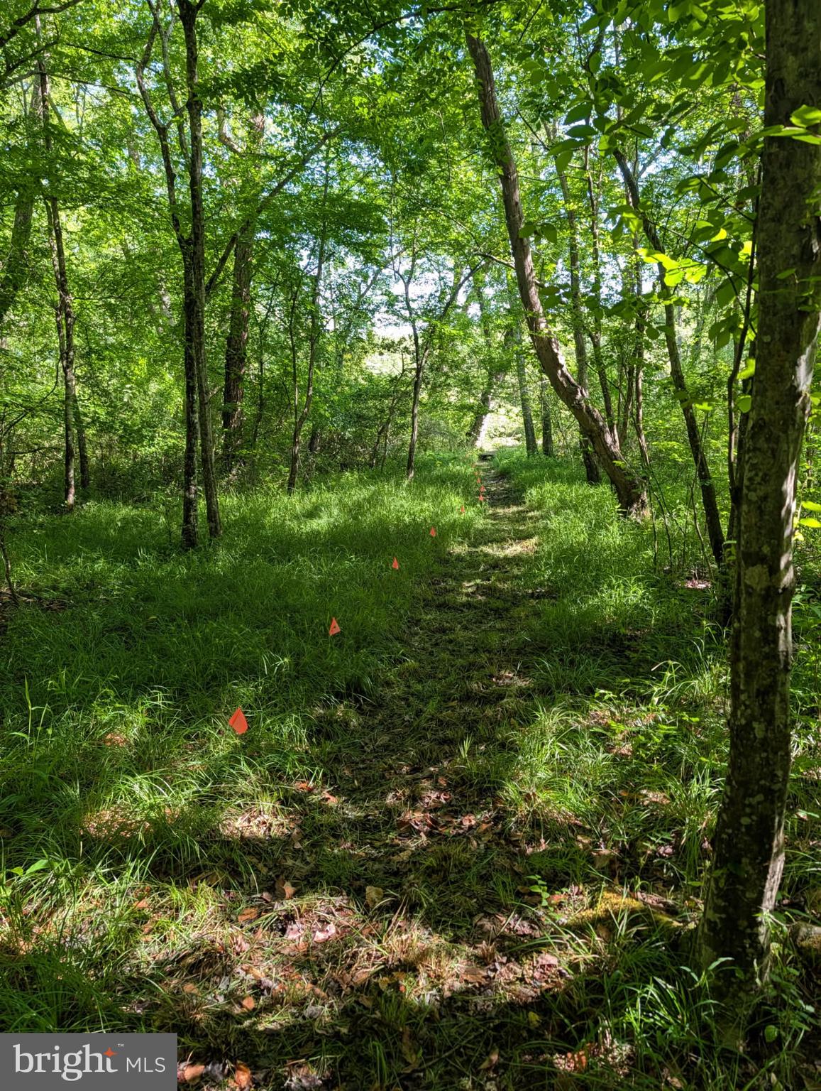 4631 Nomini Hall Road Hague, VA 22469 - Photo 60 of 62