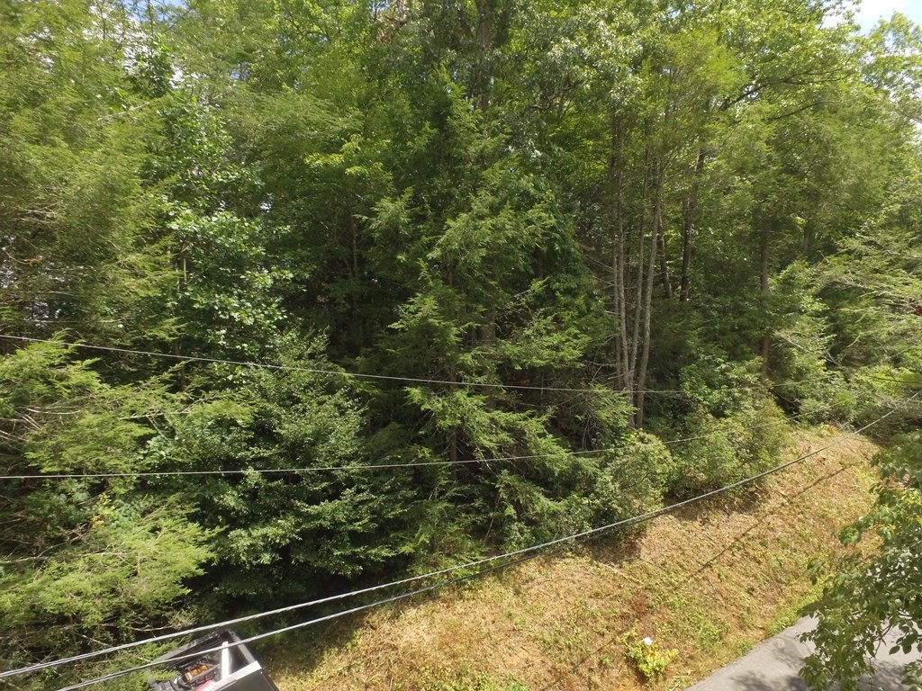 0 Bruce Road Gatlinburg, TN 37738 - Photo 3 of 11