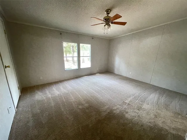a view of outdoor space with deck and tree