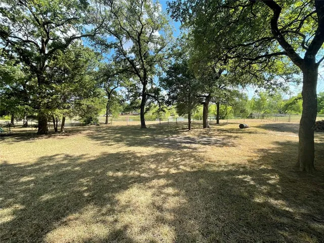 a view of a tree in the middle of a yard