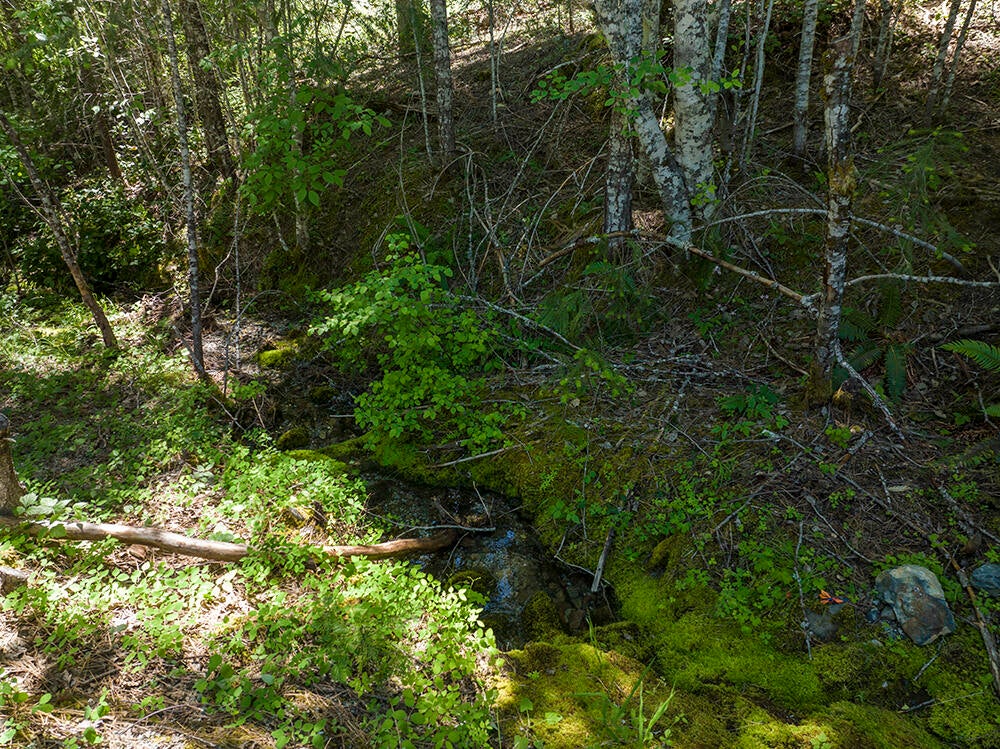 10000 Placer Road Grants Pass, OR 97526 - Photo 48 of 56 45