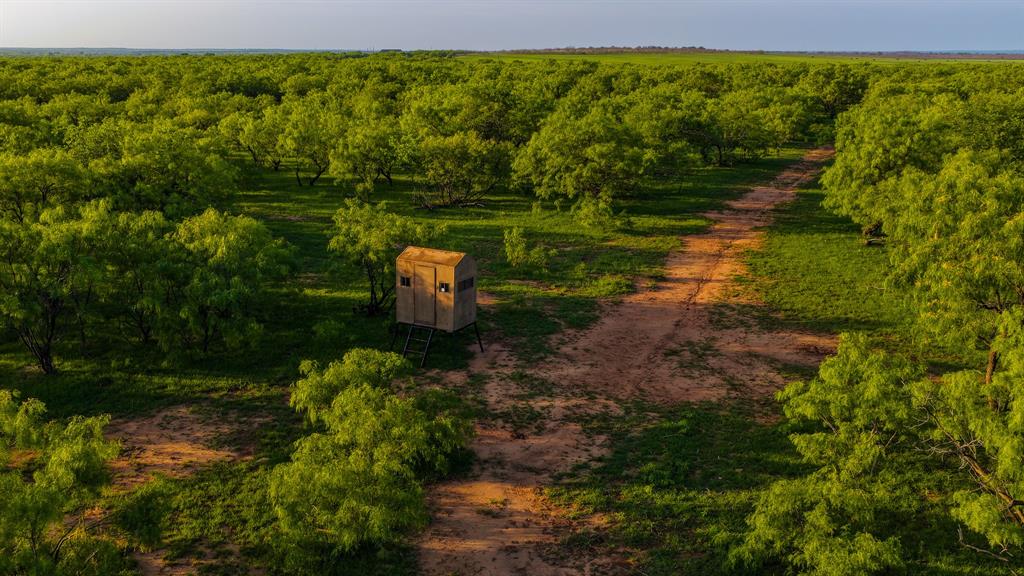 10000 Fm 209 Graham, TX 76450 - Photo 37 of 40
