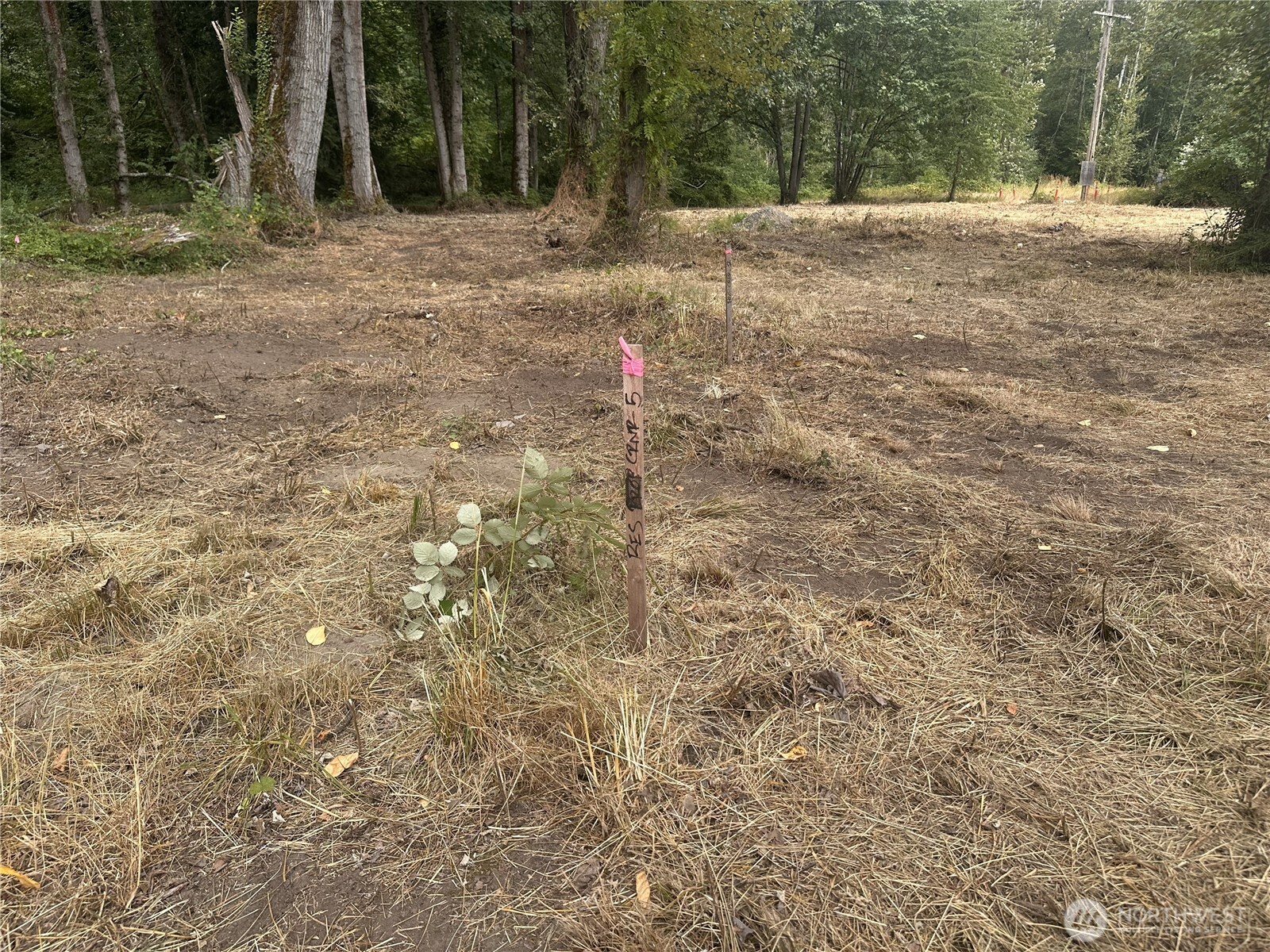 154-xx Southeast Jones Road Renton, WA 98058 - Photo 3 of 14 Gallery Image 3