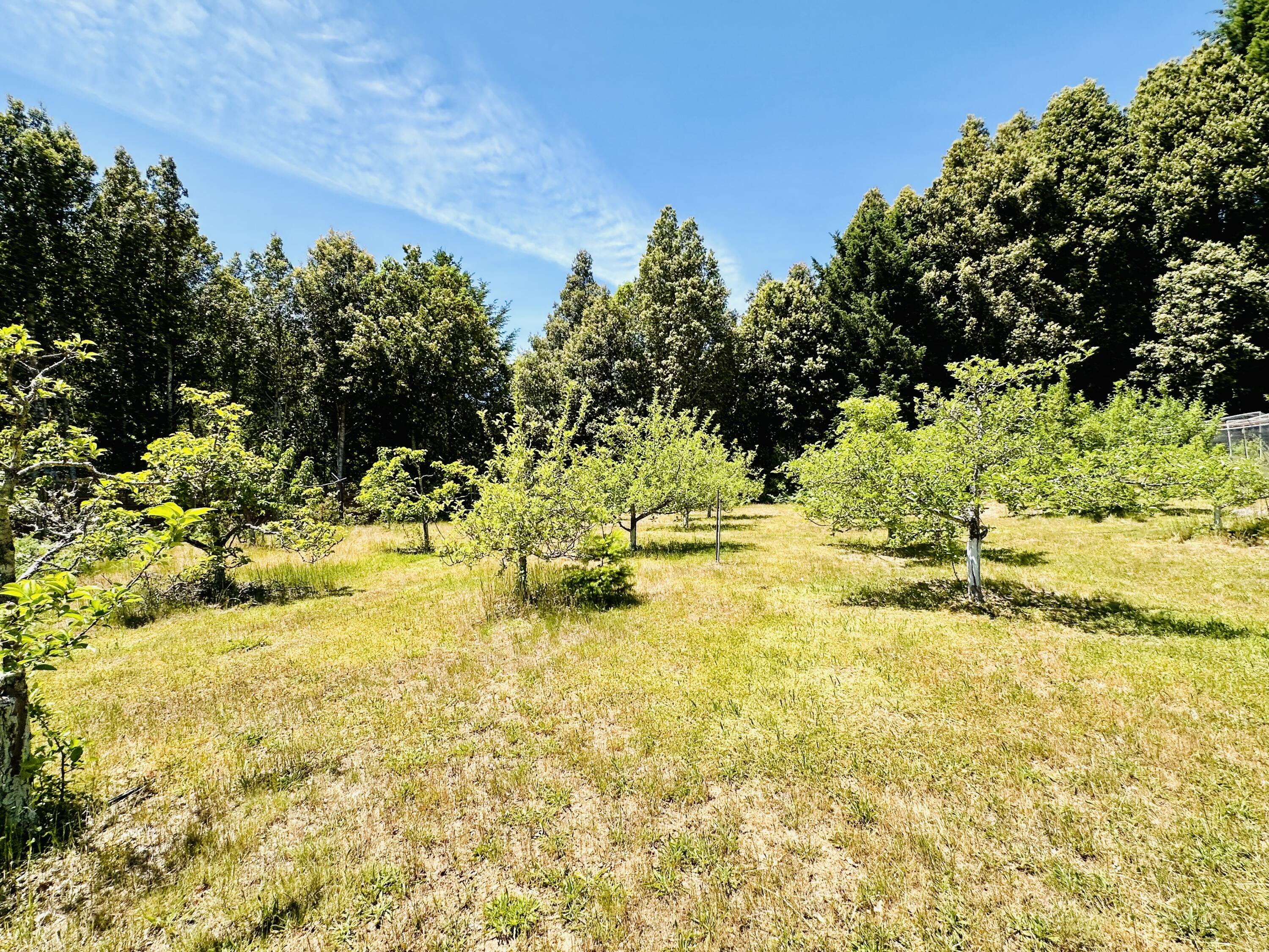 5500 Goodman Ranch Road Garberville, CA 95542 - Photo 123 of 153