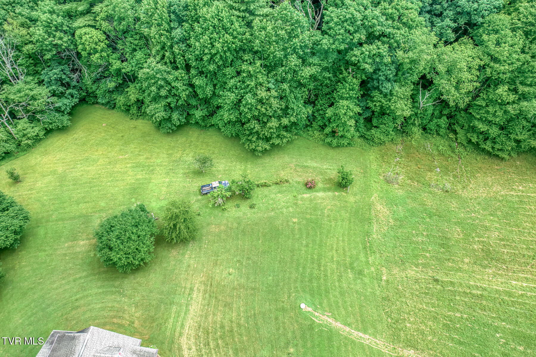1678 Sluder Road Shady Valley, TN 37688 - Photo 6 of 110 1678 Sluder Rd-6