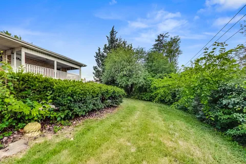a view of a back yard of the house