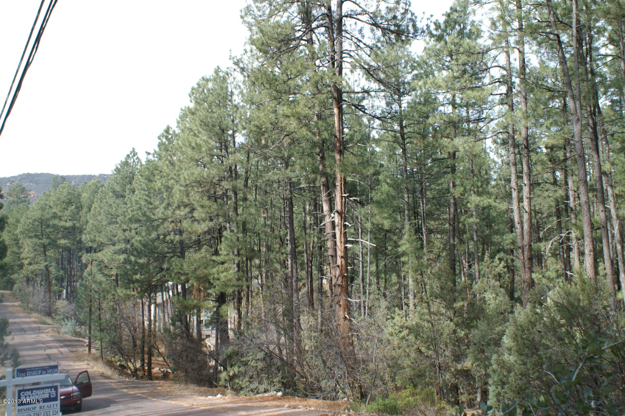 74 Sharyn Road, Unit 74 Pine, AZ 85544 - Photo 3 of 7 PICT2517