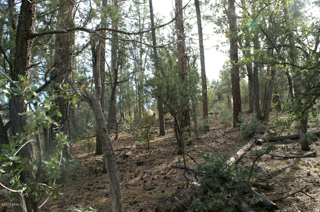 74 Sharyn Road, Unit 74 Pine, AZ 85544 - Photo 4 of 7 PICT2518