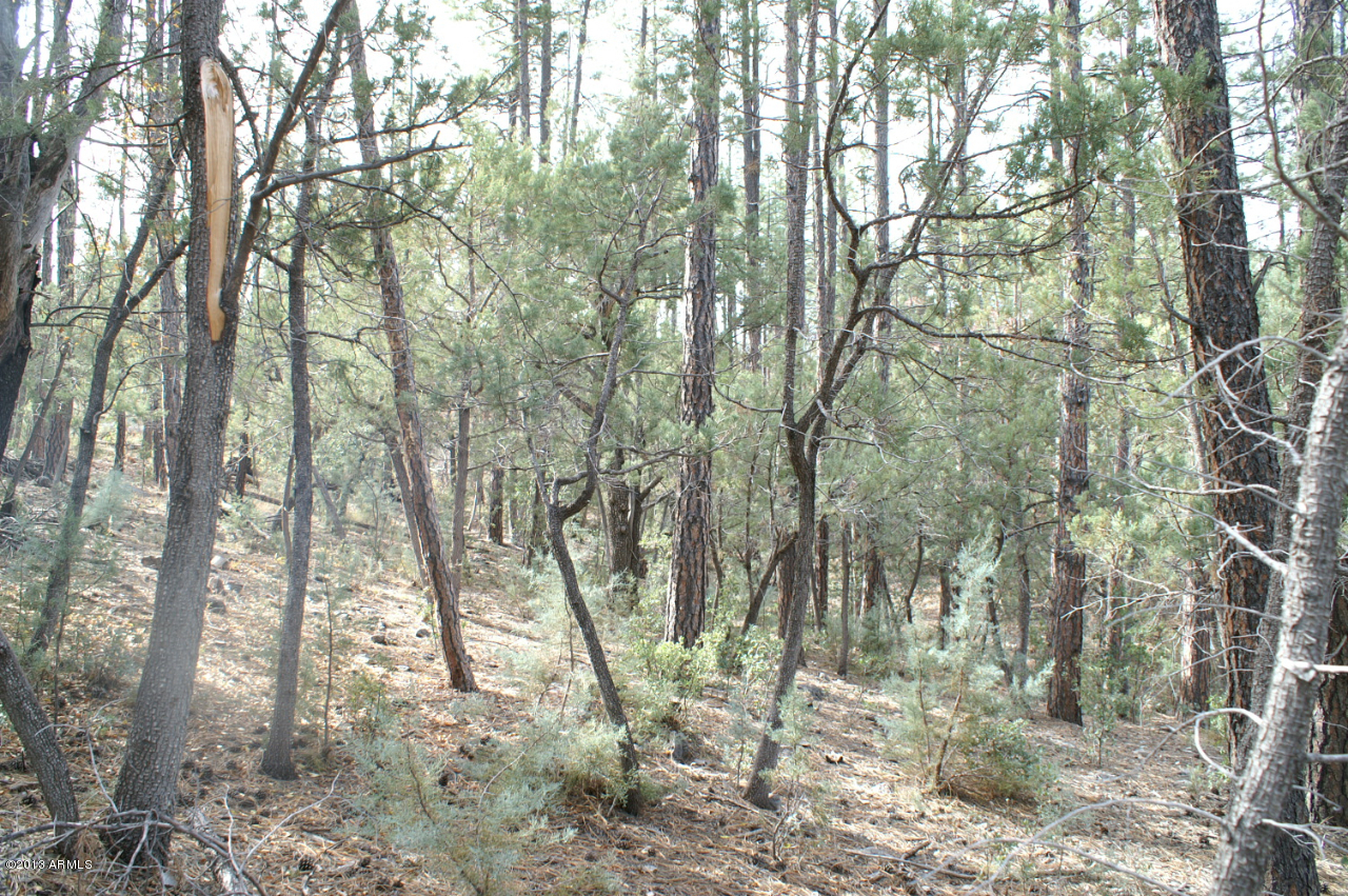 74 Sharyn Road, Unit 74 Pine, AZ 85544 - Photo 5 of 7 PICT2519