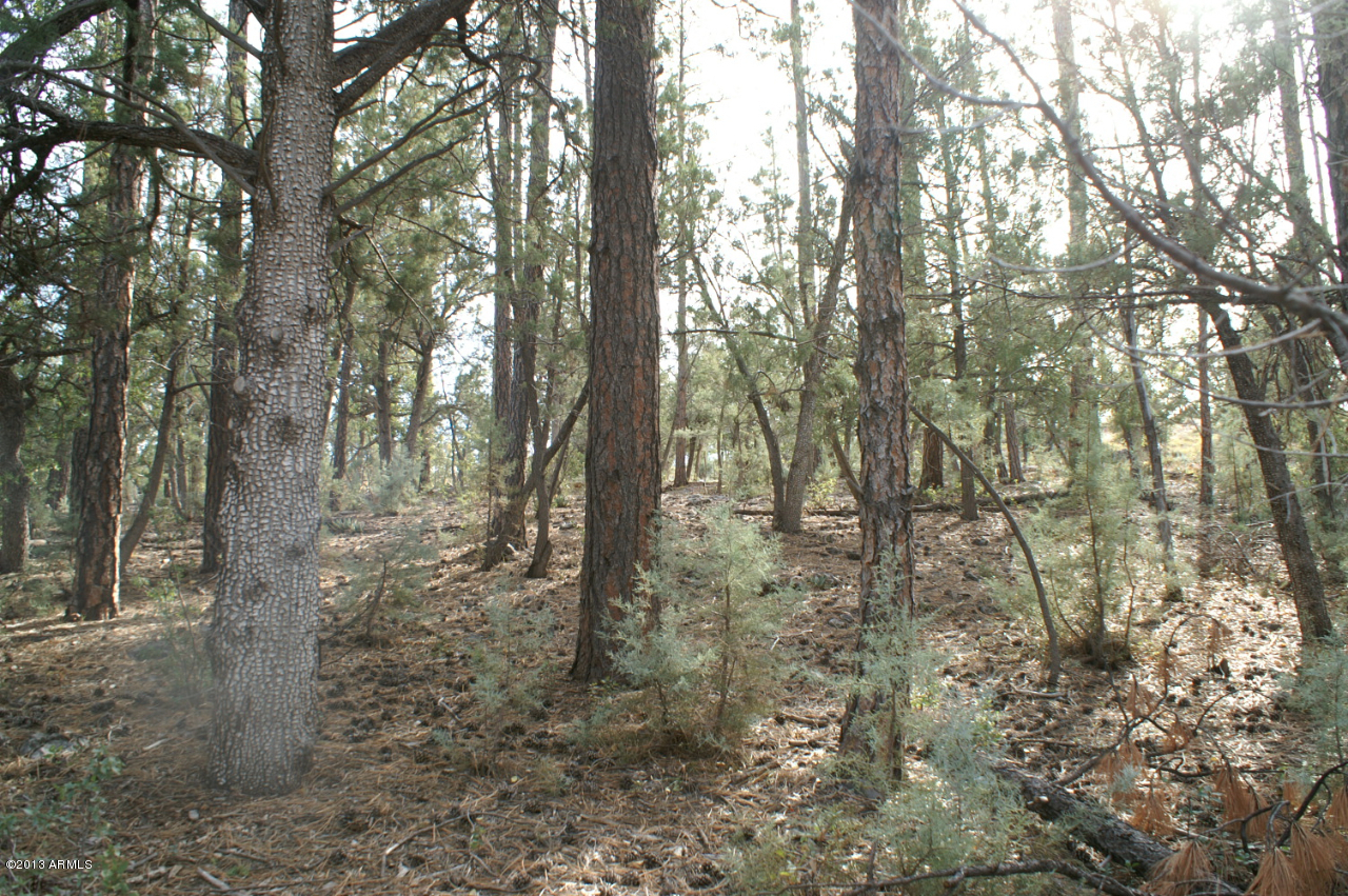 74 Sharyn Road, Unit 74 Pine, AZ 85544 - Photo 6 of 7 PICT2520