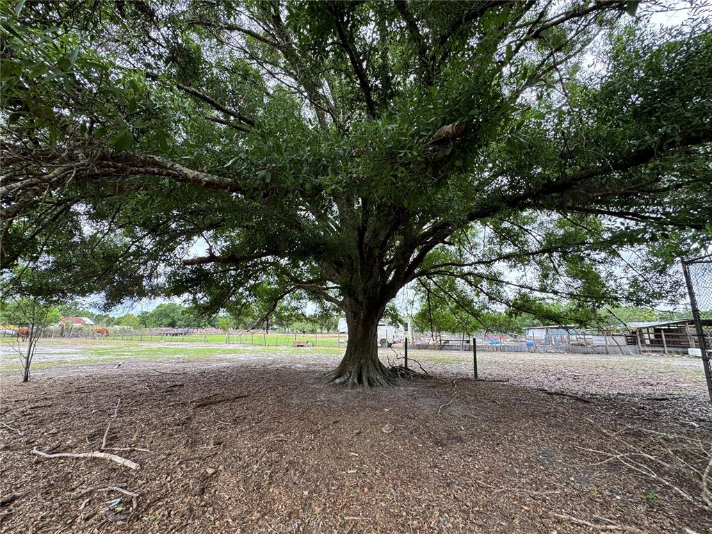 1804 Zipperer Road Bradenton, FL 34212 - Photo 1 of 10