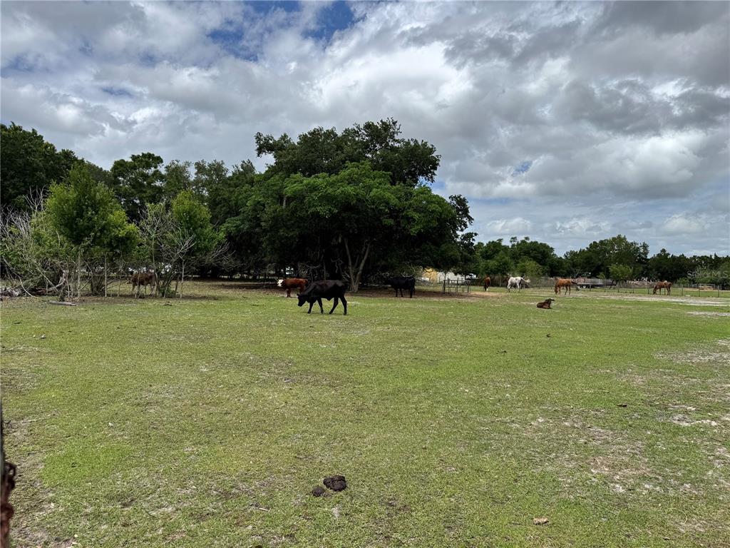 1804 Zipperer Road Bradenton, FL 34212 - Photo 2 of 10