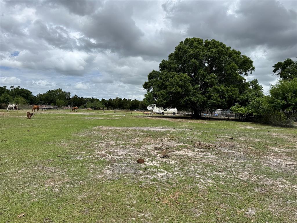 1804 Zipperer Road Bradenton, FL 34212 - Photo 3 of 10