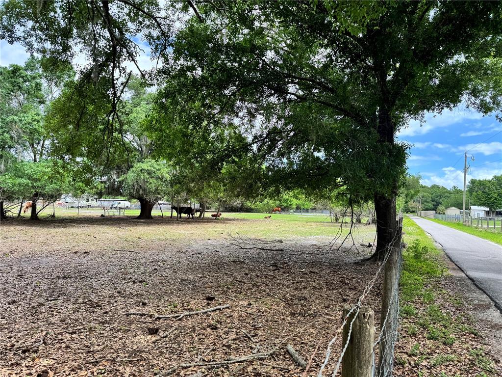 1804 Zipperer Road Bradenton, FL 34212 - Photo 5 of 10