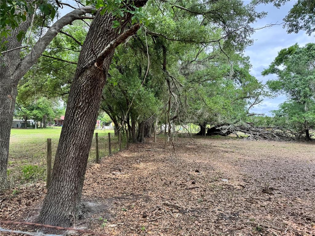 1804 Zipperer Road Bradenton, FL 34212 - Photo 6 of 10