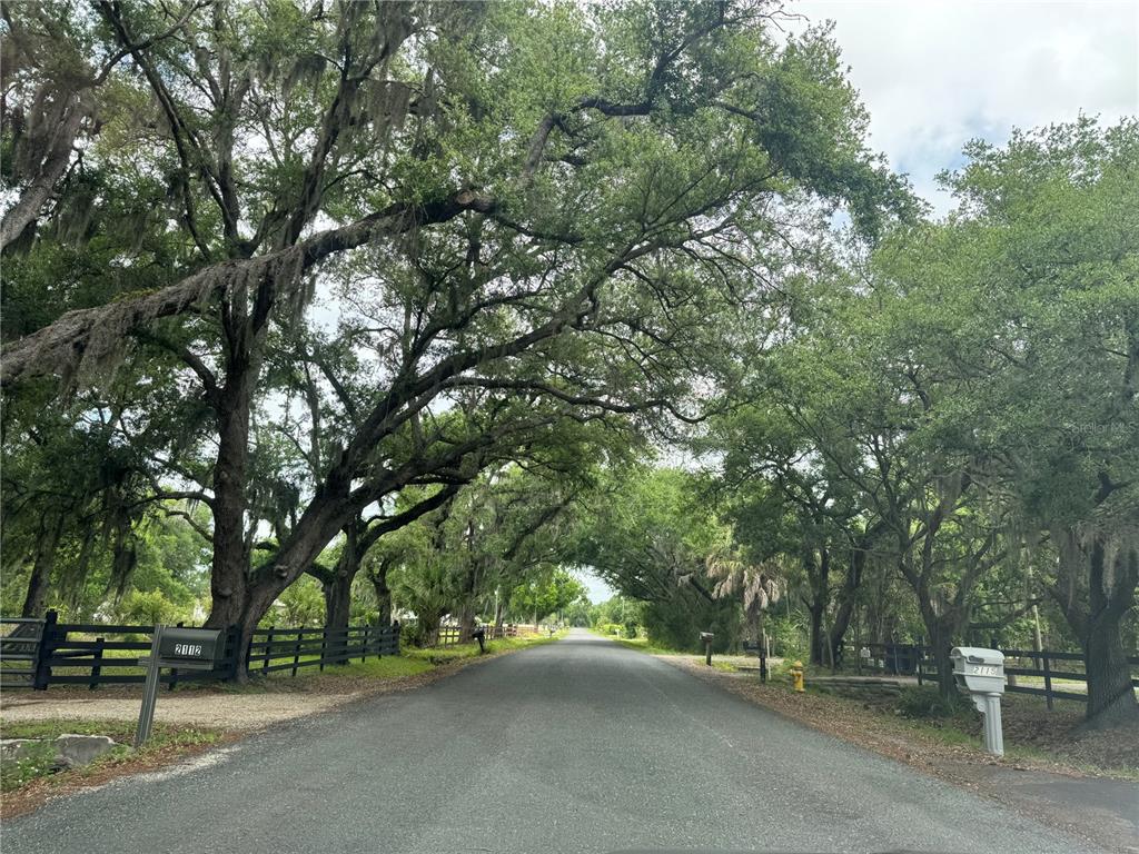 1804 Zipperer Road Bradenton, FL 34212 - Photo 9 of 10