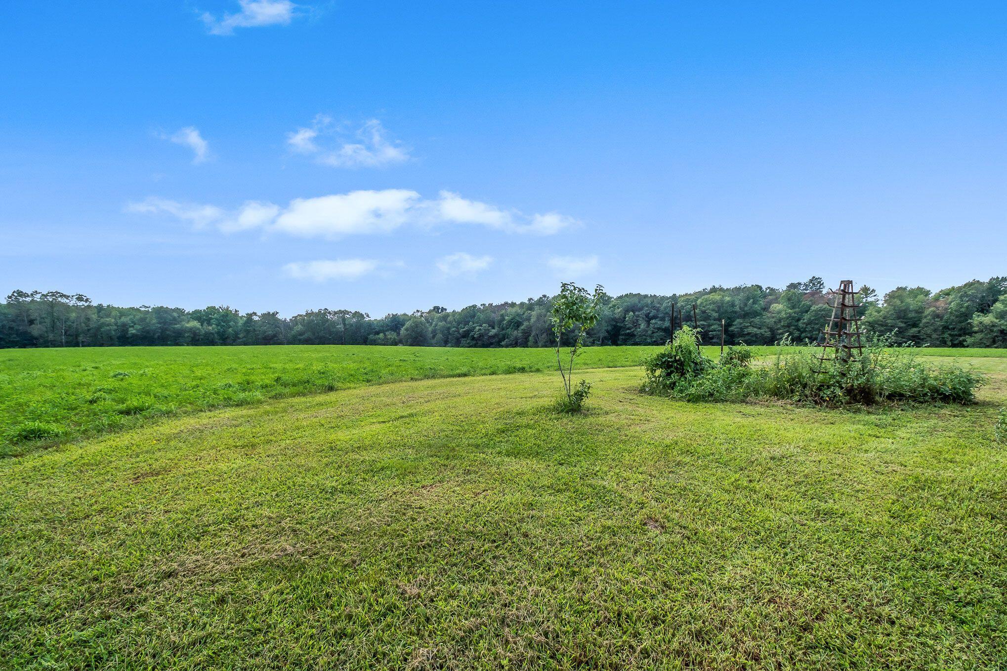 6624 Trato Road Bellevue, MI 49021 - Photo 5 of 33 9tuEhRlw