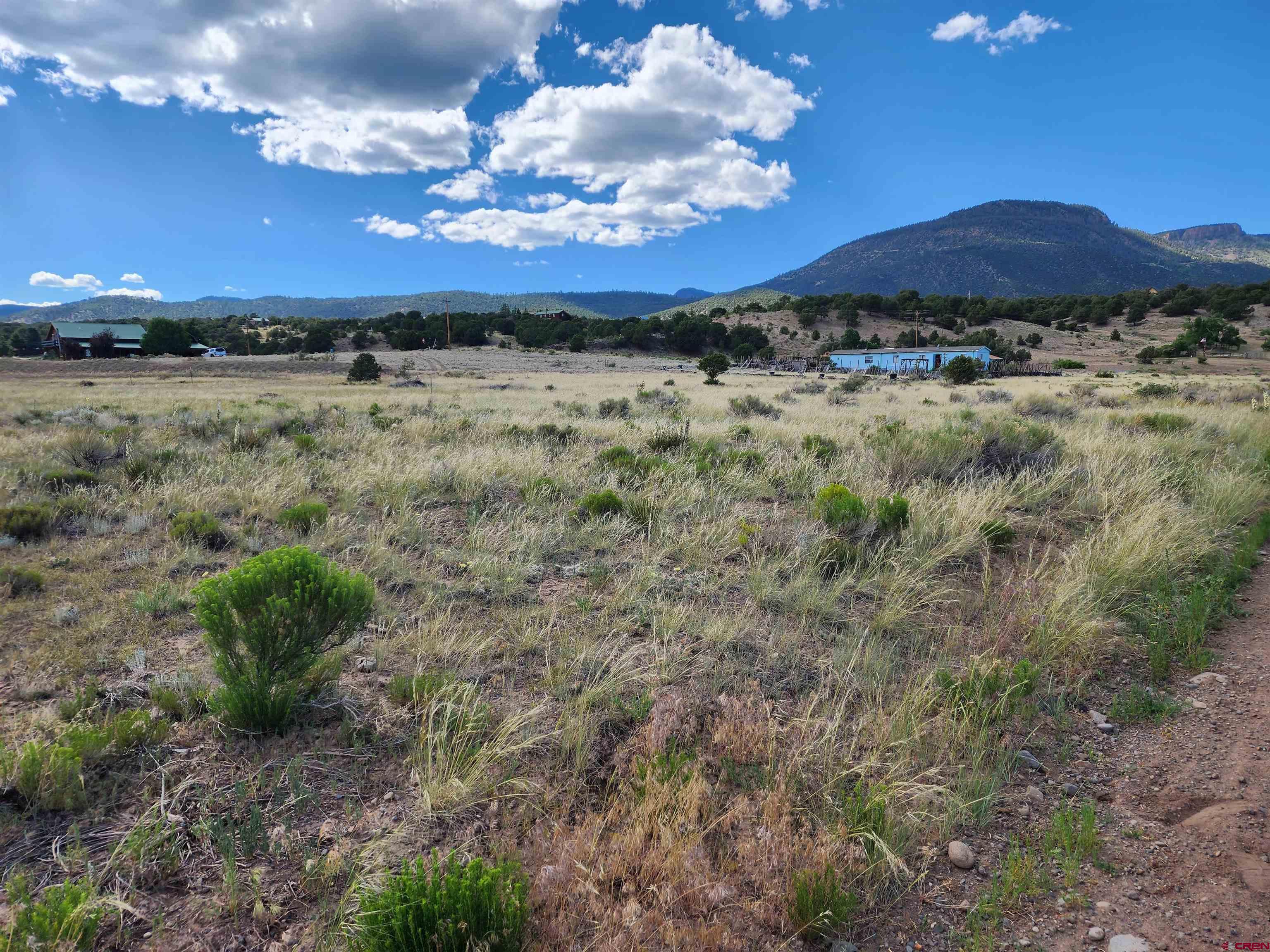 1275 Mohee Road South Fork, CO 81154 - Photo 1 of 5 a view of a backyard of a house with a mountain