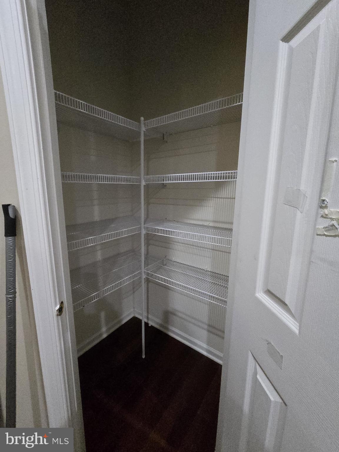 25170 Fortitude Terrace Chantilly, VA 20152 - Photo 23 of 50 a close view of walk in closet