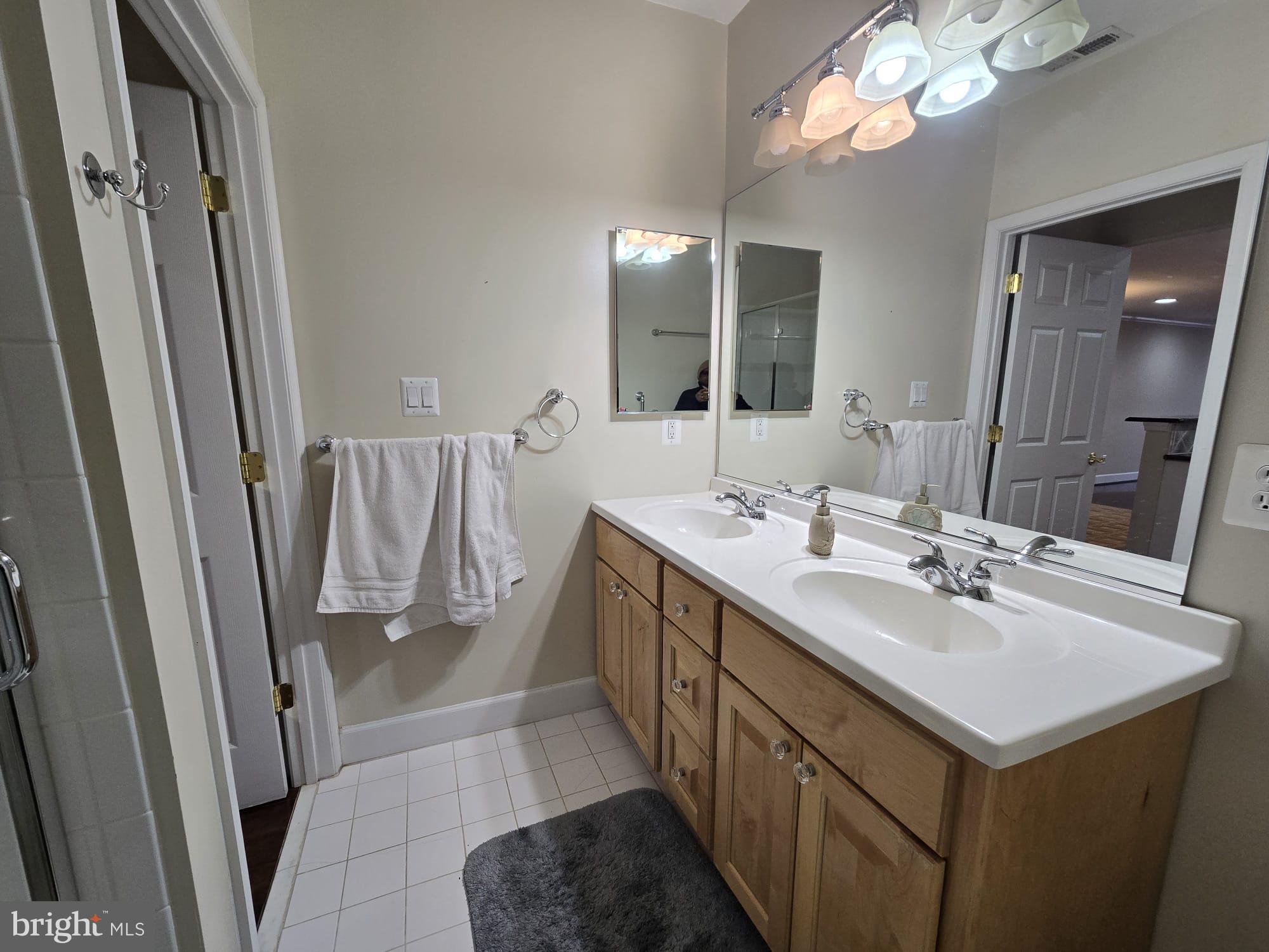 25170 Fortitude Terrace Chantilly, VA 20152 - Photo 41 of 50 a bathroom with a sink a mirror a vanity and a shower