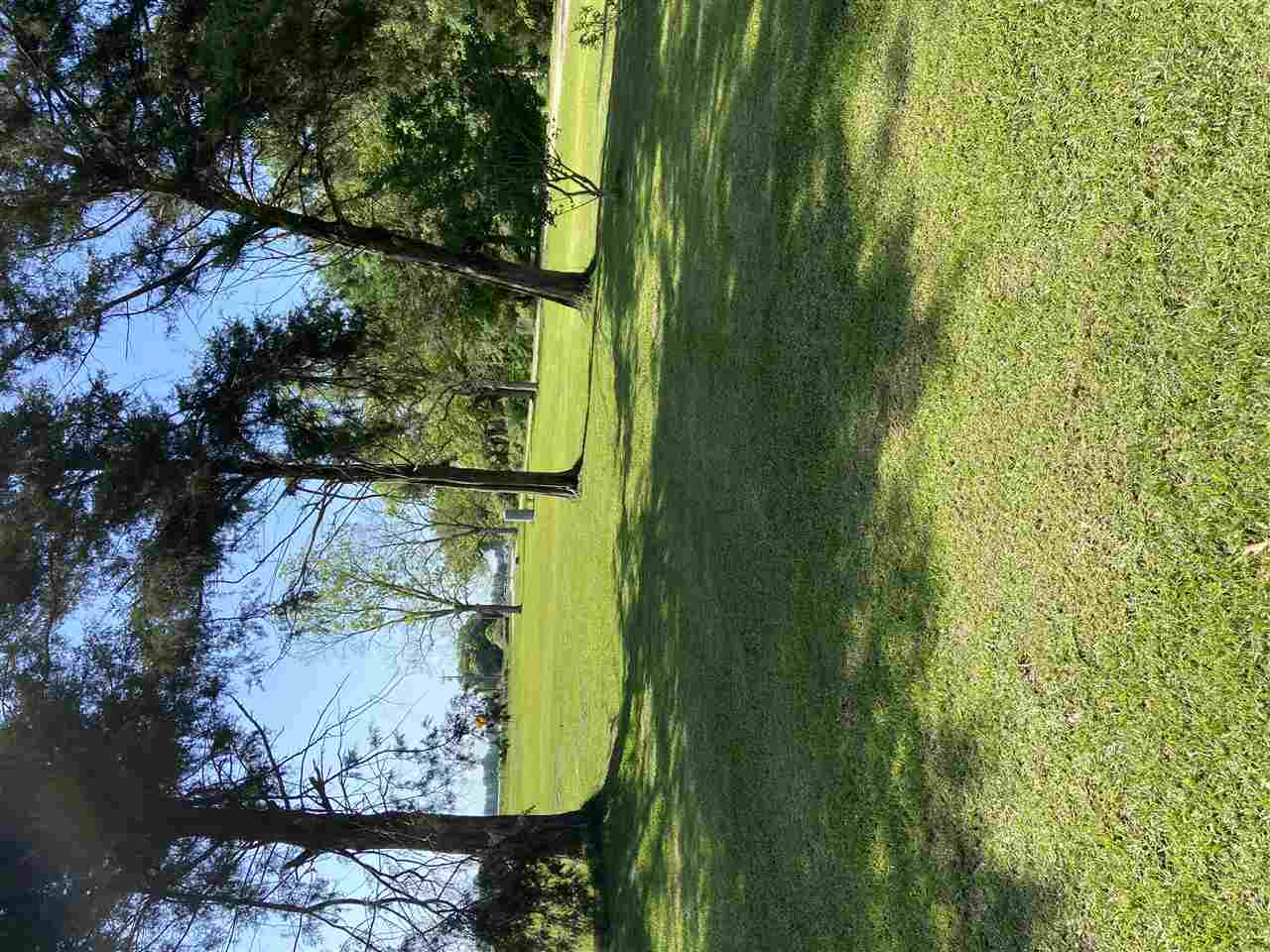 676 Cool Springs Road Bainbridge, GA 39819 - Photo 2 of 36 Gallery Image 2