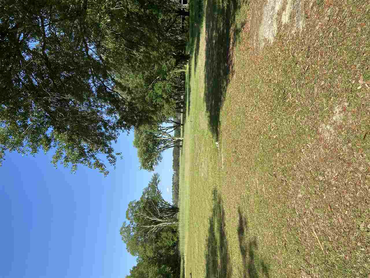 676 Cool Springs Road Bainbridge, GA 39819 - Photo 4 of 36 Gallery Image 4