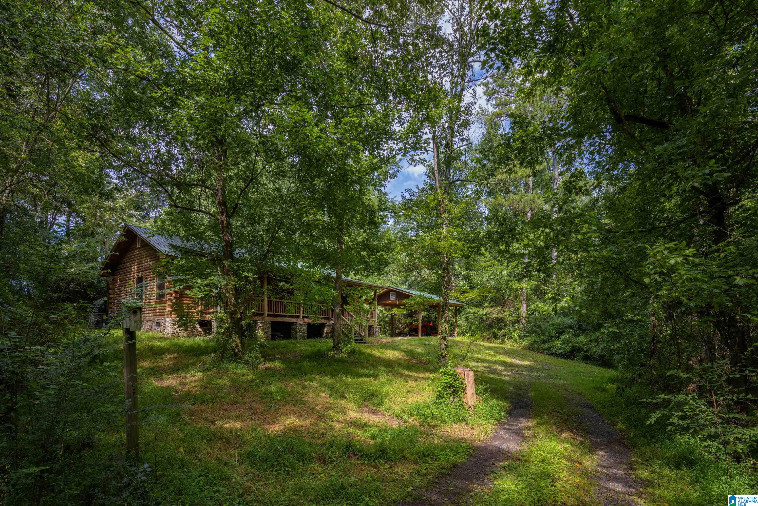1218 Ebell Road Oneonta, AL 35121 - Photo 4 of 53