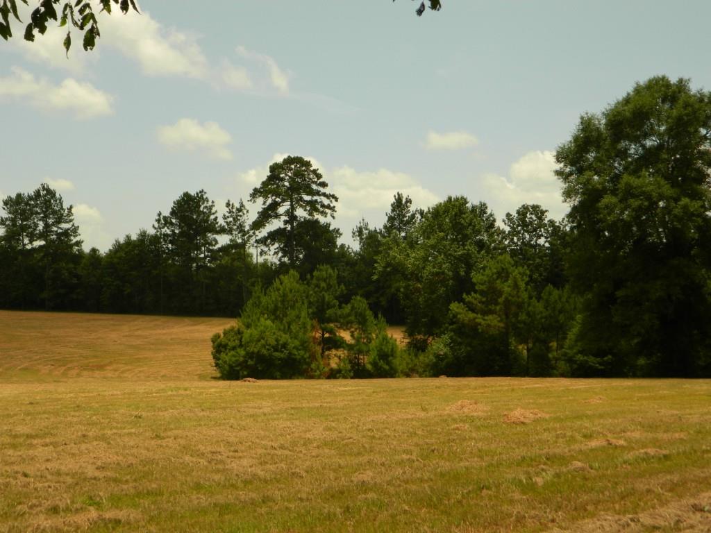 24375 Anglin Road Bush, LA 70431 - Photo 19 of 24 Gallery Image 19